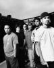 A Black White Photo of Linkin Park