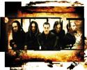 A Cover Of Korn
