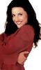 A Picture of Julia Louis Dreyfuss