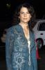 A Picture of Lauren Graham