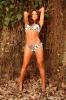 A beautiful image of Eve Torres