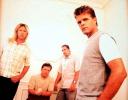 A beautiful photo of Lonestar