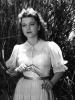 A beautiful pic of Anne Baxter