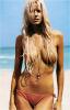 A sexy photo of Beth Ostrosky