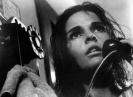 Ali MacGraw Image