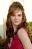 Amber Tamblyn Wearing Red