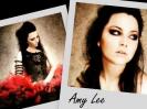 Amy Lee Collage