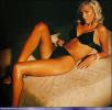 Angela Saunders Picture