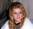Ann Margret Image