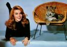 Ann Margret Photo