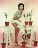 Ann Miller Picture