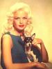 Another fine pic of Jayne Mansfield