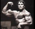 Arnold Schwarzenegger Body