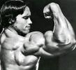 Arnold Schwarzenegger Muscles