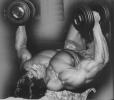 Arnold Schwarzenegger Picture