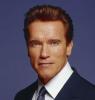 Arnold Schwarzenegger Wearing A Suit
