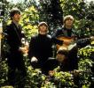 Beatles In Trees