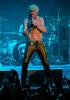 Billy Idol In Concert
