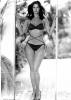 Black cat Lynda Carter