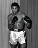 Boxing pose of Muhammad Ali