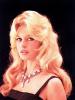 Brigitte Bardot Image