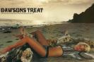 Brittany Daniel Image