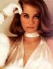 Dashing Cybill Shepherd