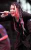 Evanescence Performing