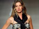 Gisele Bundchen Image