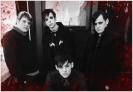 Good Charlotte Group Pic