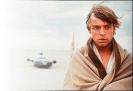 Good looking pic of Mark Hamil