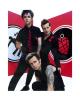 Green Day Pic