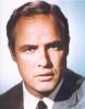 Handsome looking Marlon Brando