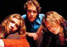 Hanson Image