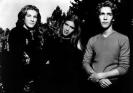 Hanson Picture