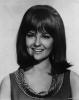 Image of Shelley Fabares