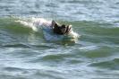 Jorja Fox in the Sea