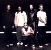 Korn Posing