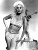 Mamie Van Doren Picture