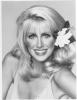 Nice Pic of Suzanne Somers