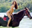 Nicola Charles on the Horse