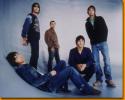 Oasis Photo