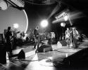 Oasis Picture
