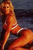 Photo of Sable