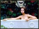 Photo of Sophia Loren