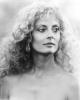 Photo of Susan Sarandon