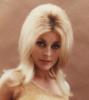 Pic of Sharon Tate
