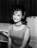 Pic of Shelley Fabares