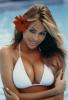 Pic of Sofia Vergara