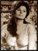 Pic of Sophia Loren